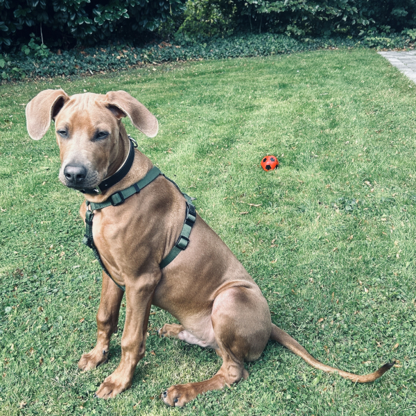 Bild "Ich als Fotomodell:pdm_2509.jpeg"