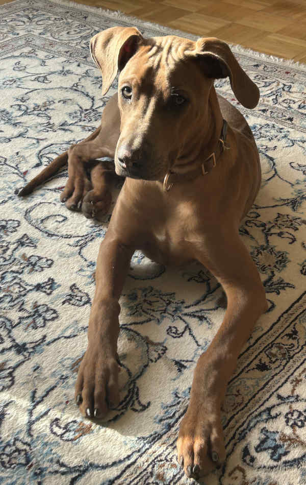 Bild "Ich als Fotomodell:pdm_2511.jpeg"