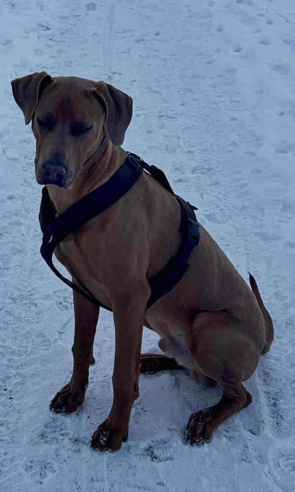 Bild "Ich als Fotomodell:pdm_2601.jpeg"