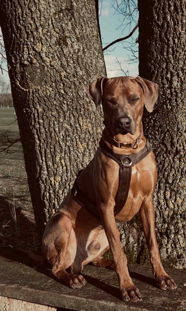 Bild "Ich als Fotomodell:pdm_2603.jpeg"