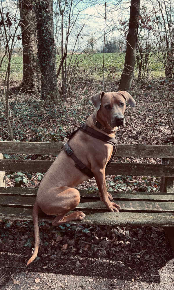 Bild "Ich als Fotomodell:pdm_2604.jpeg"