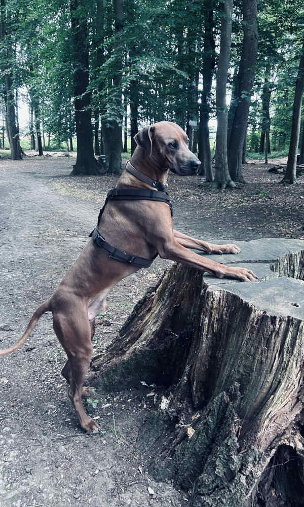 Bild "Ich als Fotomodell:pdm_2607.jpeg"