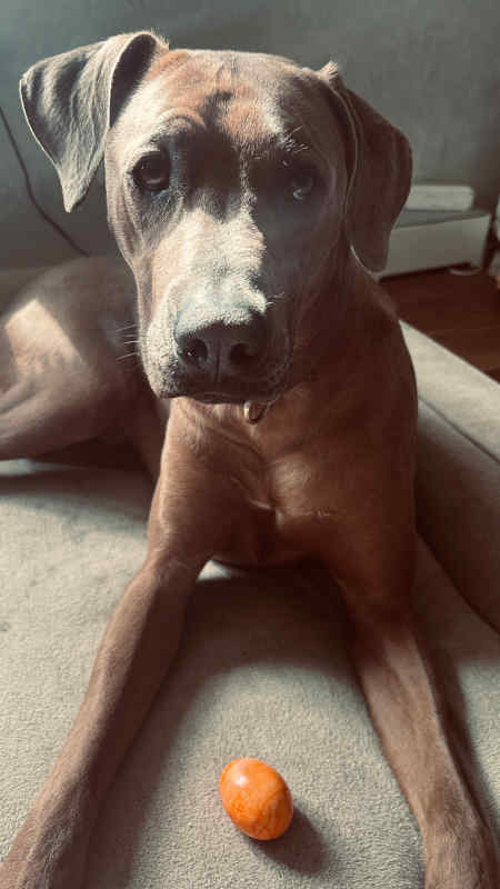 Bild "Meine Erlebnisse:frohe_ostern_2026.jpeg"