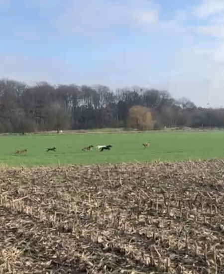 Bild "Meine Erlebnisse:klaefftreff_007.jpeg"