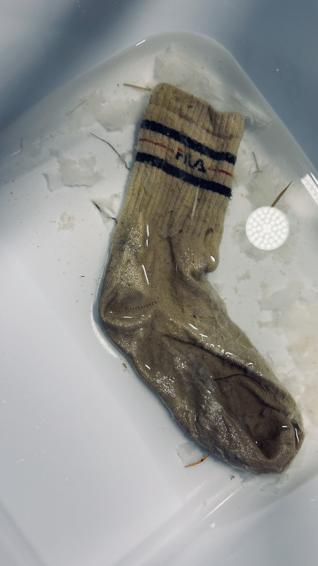 Bild "Meine Erlebnisse:piet_0007.jpeg"