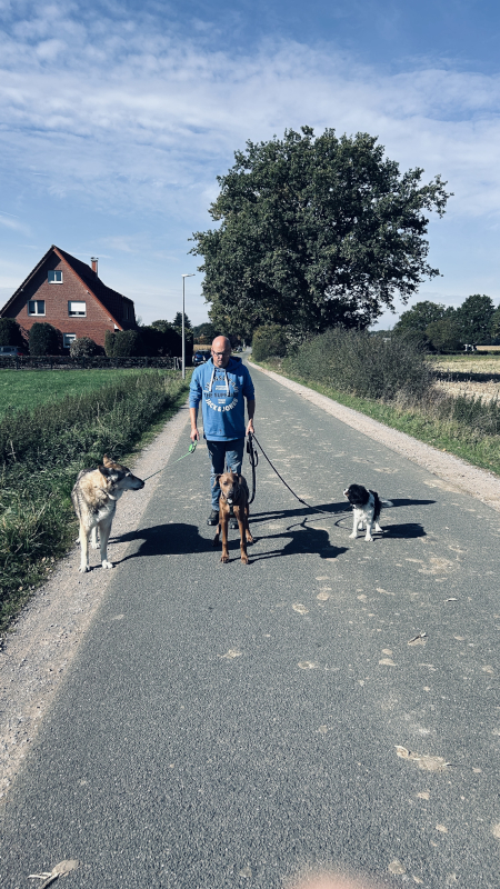 Bild "Meine Erlebnisse:piet_0022.jpeg"