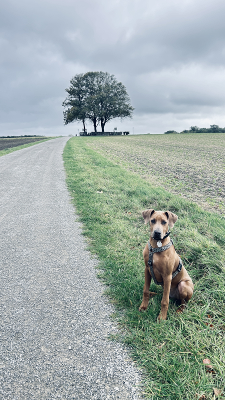 Bild "Meine Erlebnisse:piet_0027.jpeg"