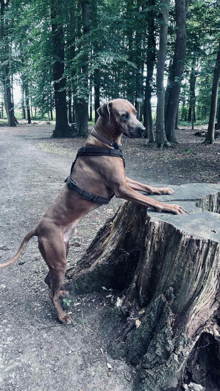 Bild "Meine Erlebnisse:piet_am_kreuzweg_002.jpeg"