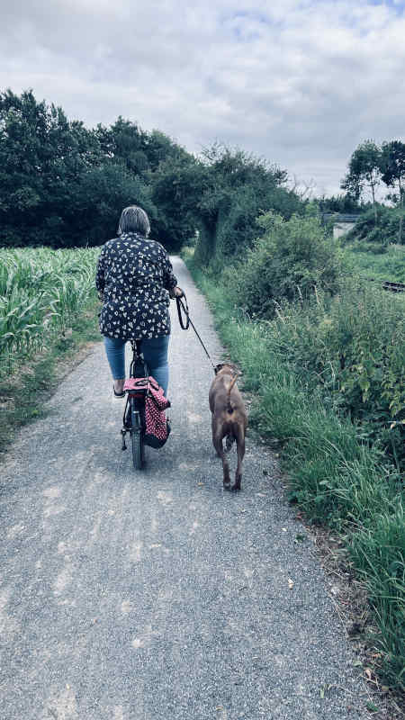 Bild "Meine Erlebnisse:piet_am_rad_001.jpeg"