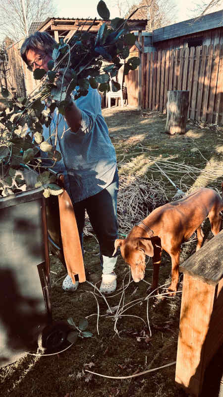 Bild "Meine Erlebnisse:piet_hilft_im_garten_001.jpeg"