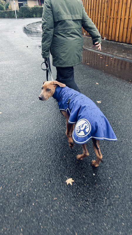 Bild "Meine Erlebnisse:piet_im_regenmantel_001.jpeg"