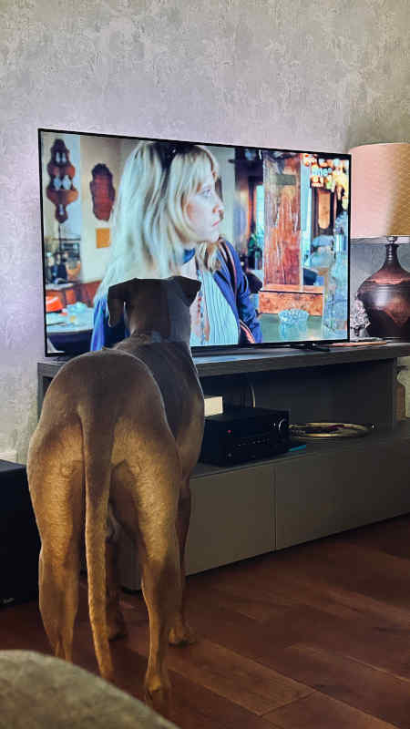 Bild "Meine Erlebnisse:piet_kuckt_tv_003.jpeg"