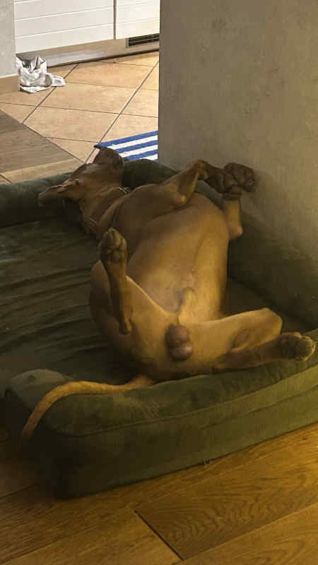 Bild "Meine Erlebnisse:piet_pennt_008.jpeg"