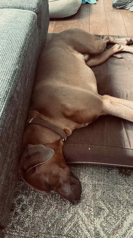 Bild "Meine Erlebnisse:piet_pennt_014.jpeg"