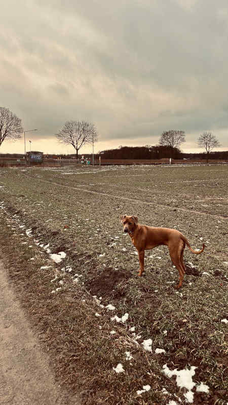 Bild "Meine Erlebnisse:piet_schnuppert_003.jpeg"